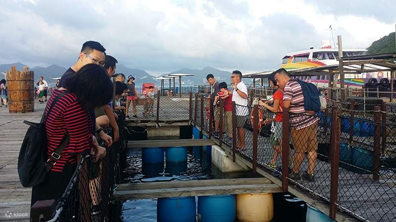 Introduction to Hong Kong’s Intangible Cultural Heritage: [Marine Fish Breeding Techniques]